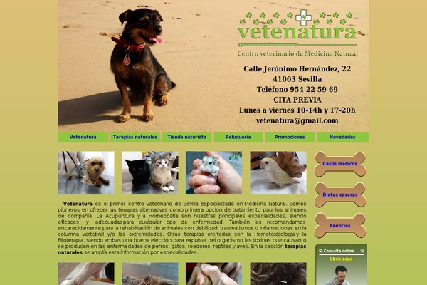 warm-home theme site design template sample