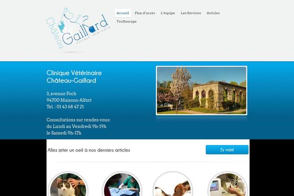 Poloray theme site design template sample