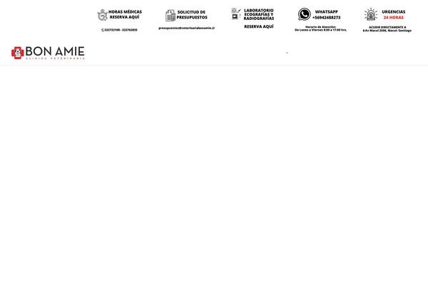 Site using Wp-and-divi-icons plugin