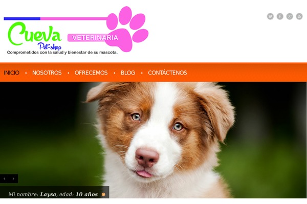 theme44159 theme websites examples