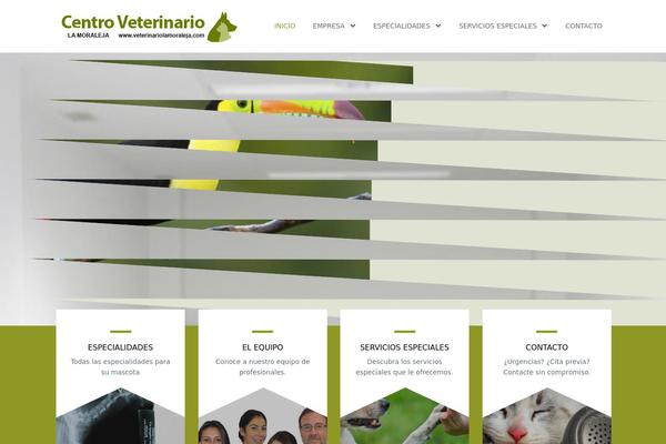 The Company theme site design template sample