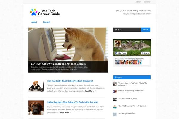 Site using AnyWP MailChimp plugin