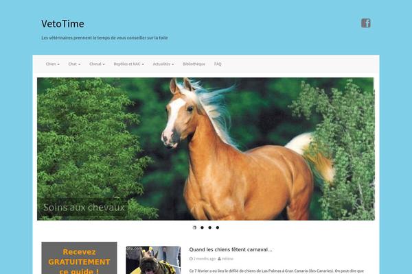 Blain theme site design template sample