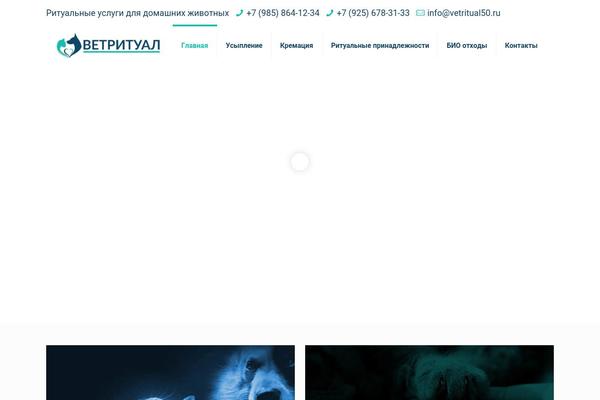Site using Google Captcha (reCAPTCHA) by BestWebSoft plugin