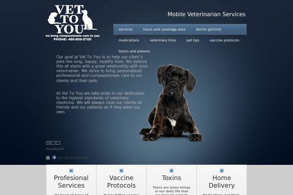 Theme1447 theme site design template sample