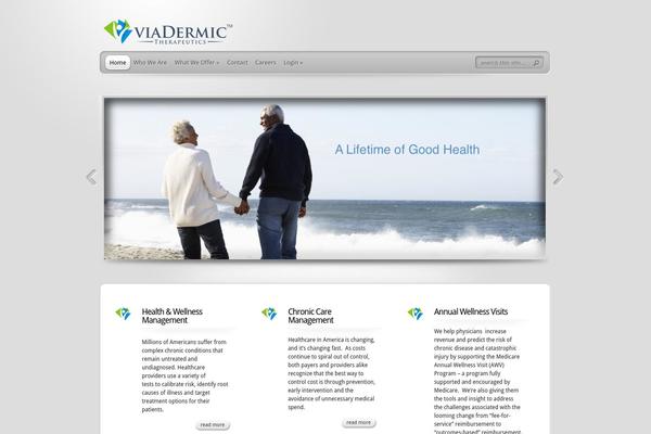 TheProfessional theme site design template sample