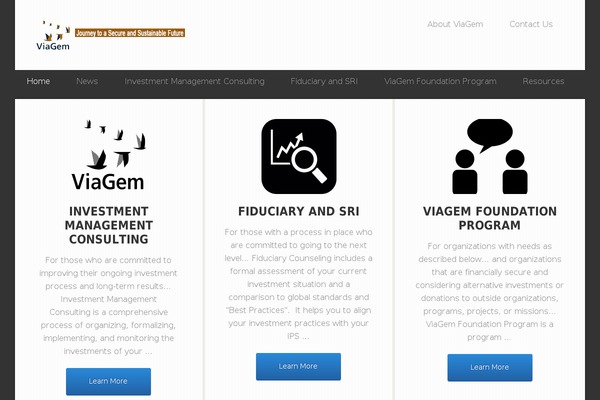 viagemconsulting.com site used Streamline Pro