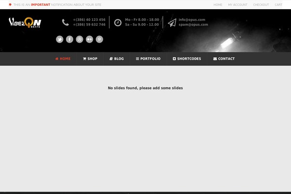 Opus theme site design template sample