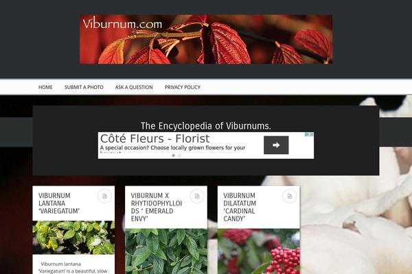 Pravda theme site design template sample