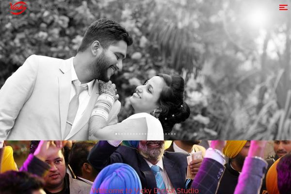 vicky theme websites examples