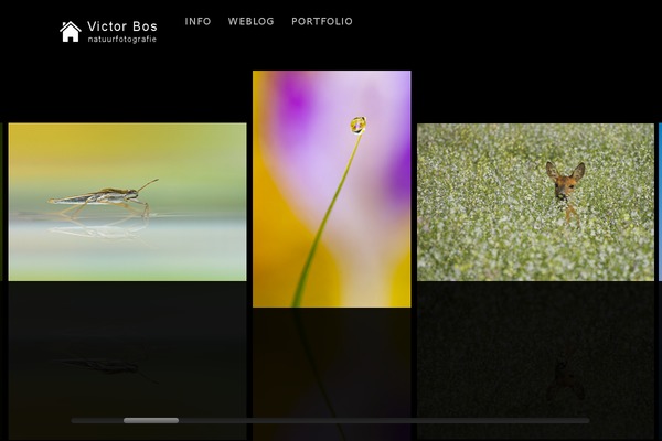 Core theme site design template sample