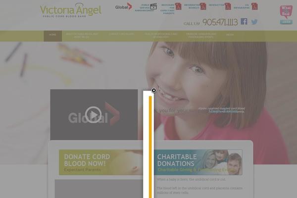 Site using Bambora-online-checkout plugin