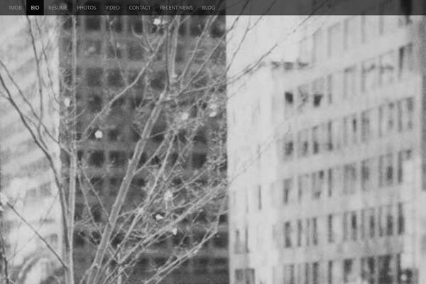 Arcade Basic theme site design template sample