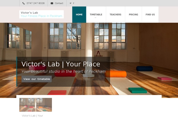 Fit Wp theme site design template sample