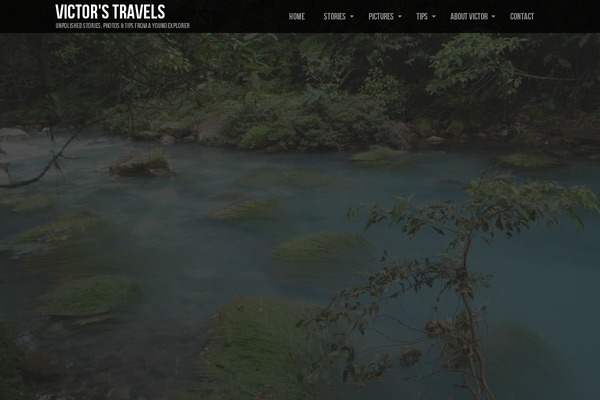 collections-child theme websites examples