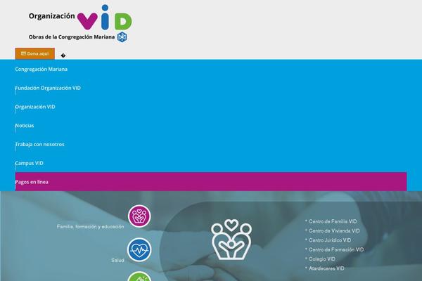 The7 Child theme site design template sample