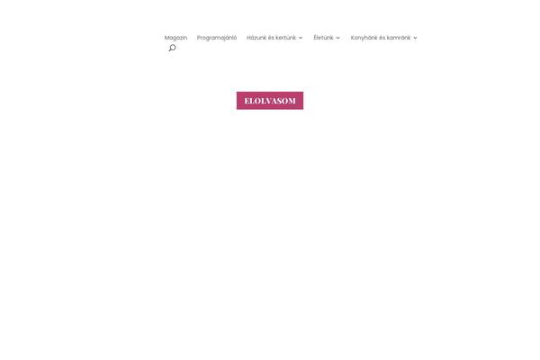 Site using DuracellTomi's Google Tag Manager for WordPress plugin