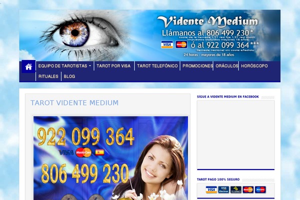 Sahifa theme site design template sample