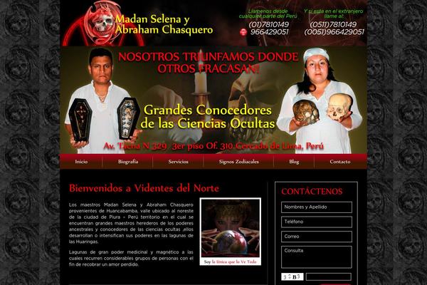 videntesdelnorte.com site used Videntes
