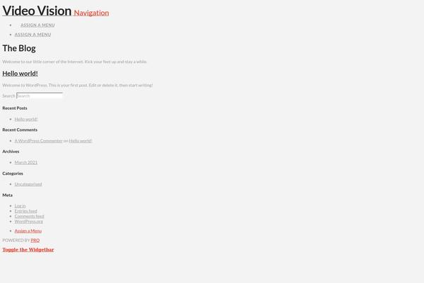 Pro theme site design template sample