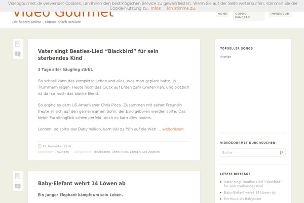 Bugis theme site design template sample