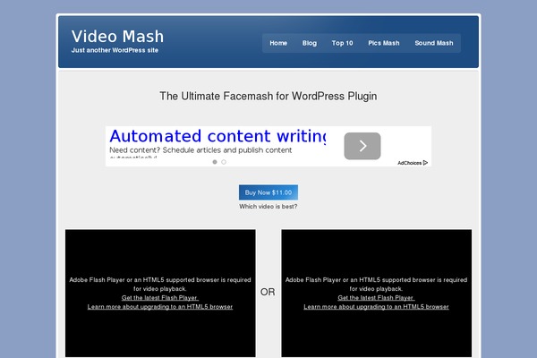 Site using EnvatoAssistant plugin