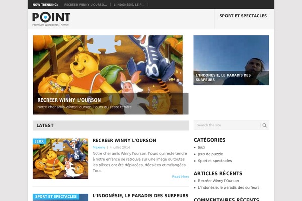 Point theme site design template sample