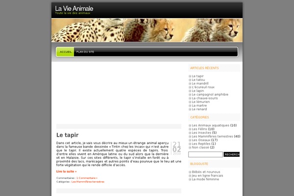 Freshy theme site design template sample