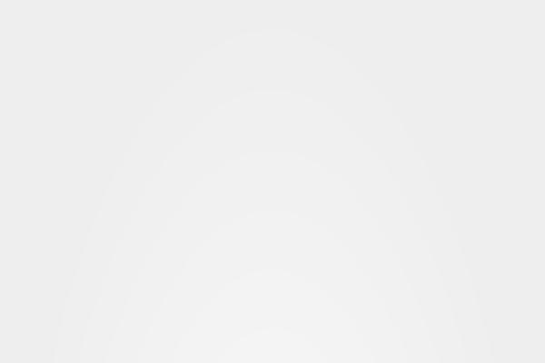 Site using Pinterest-site-verification plugin