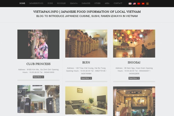 Triton_lite theme site design template sample