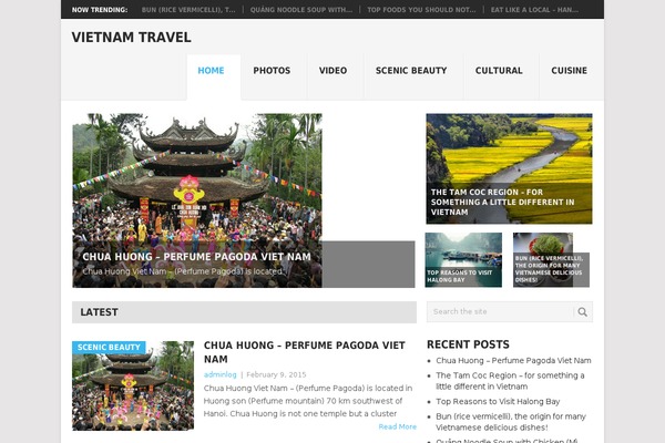 Point theme site design template sample