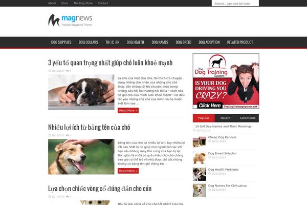 Magnews1.2 theme site design template sample