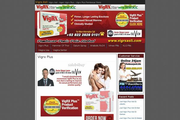 WPTokoonline theme websites examples