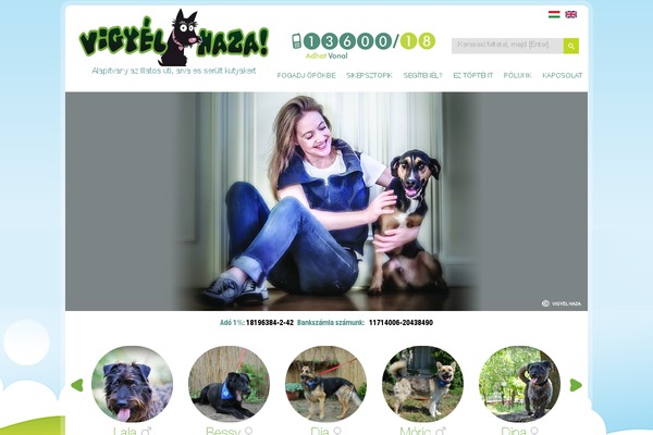 HTML5 Blank theme site design template sample