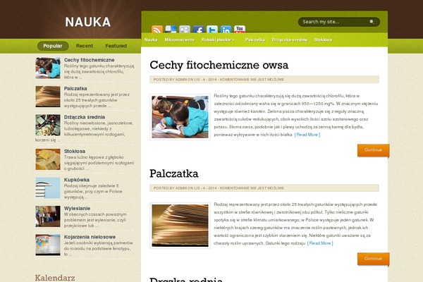 5 theme site design template sample