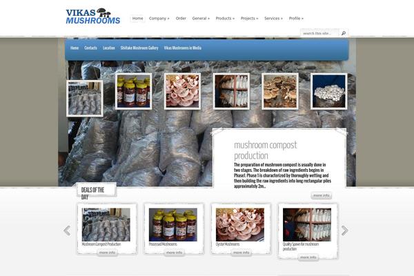 Site using Form Generator for WordPress plugin