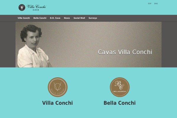 villaconchi.com site used Qvapp_wines