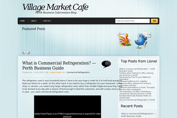 DynaBlue theme site design template sample
