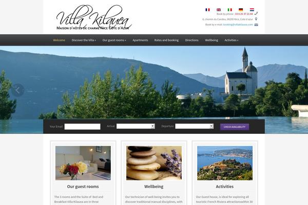 Ambassador theme site design template sample