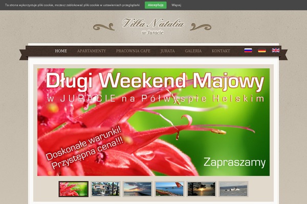 Queenhotel theme site design template sample