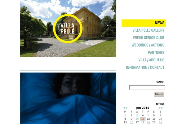 Divi-child-wplama theme site design template sample
