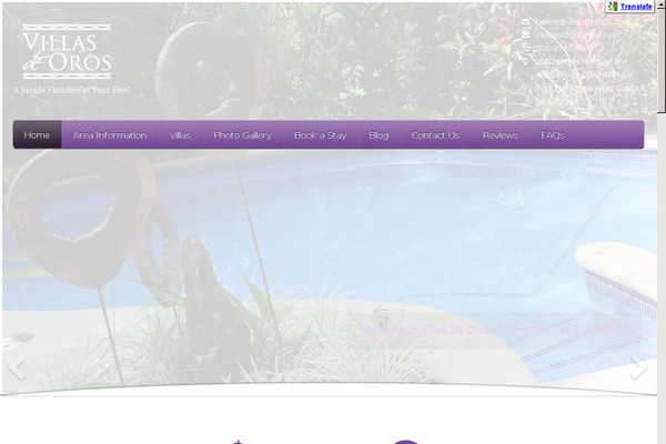 5star theme site design template sample