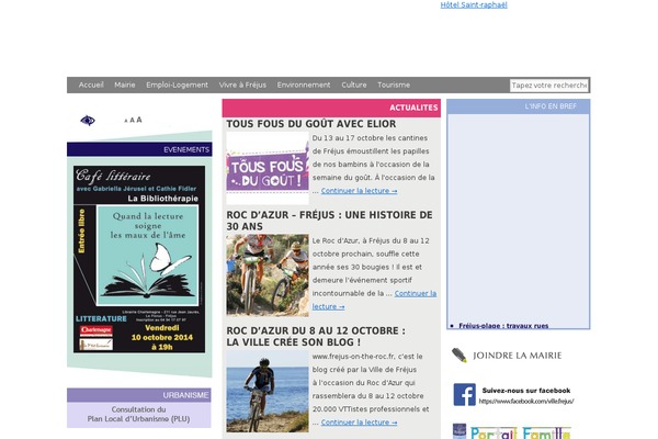 ville theme websites examples