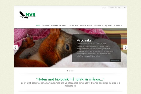 Chameleon theme site design template sample