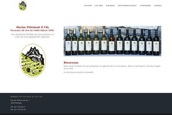 Site using Wordpress-file-upload-pro plugin