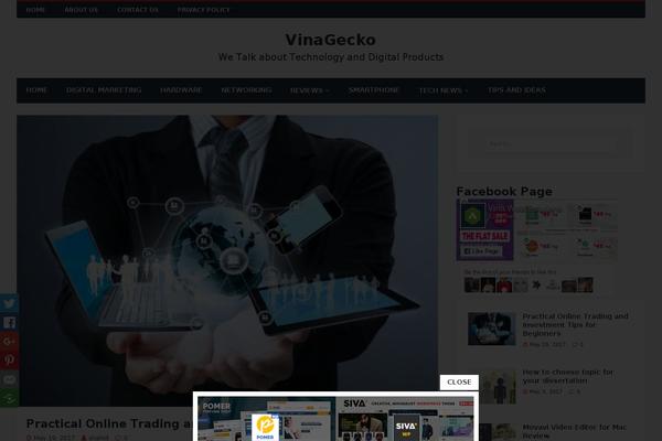 vinagecko.net site used Moderne