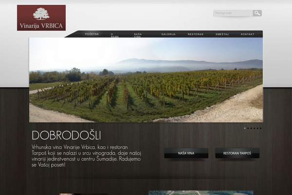 Accentuate theme site design template sample