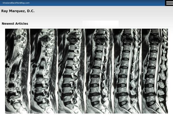 vinelandbackpainblog.com site used Silverblog
