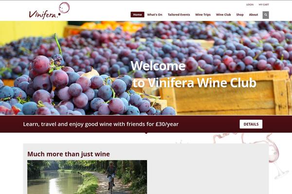 Site using ACF Recent Posts Widget plugin