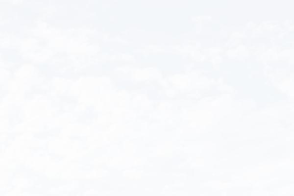 Wp_nuvo-child theme site design template sample